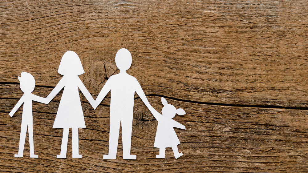 TERAPIA FAMILIARE O TERAPIA SISTEMICO-RELAZIONALE